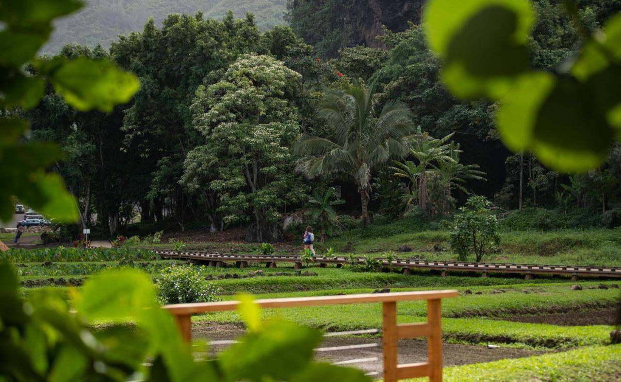 Hanalei Colony Resort Kültér fotó